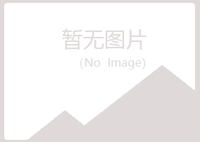 天津夏岚采矿有限公司